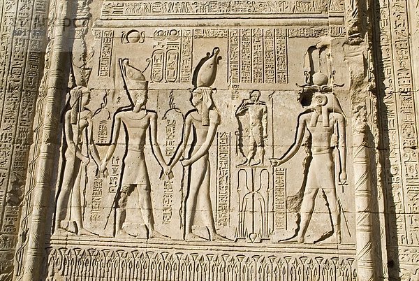 Relief an der Wand des Chnum-Tempels in Esna  Ägypten  Close-up