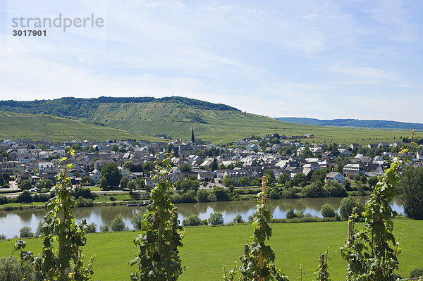 Blick über Mosel auf Leiwen  Rheinland-Pfalz  Deutschland