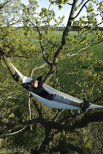 Ein Mann in einer Hängematte zwanzig Meter hinauf in einem Baum Schweden.
