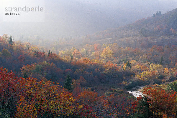 Herbst North Carolina USA.