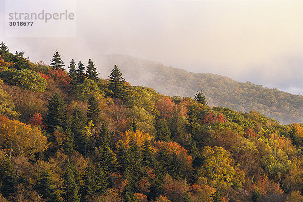 Herbst North Carolina USA