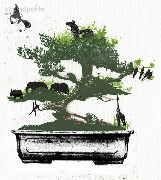 Verschiedene Tiere in Bonsaibaum