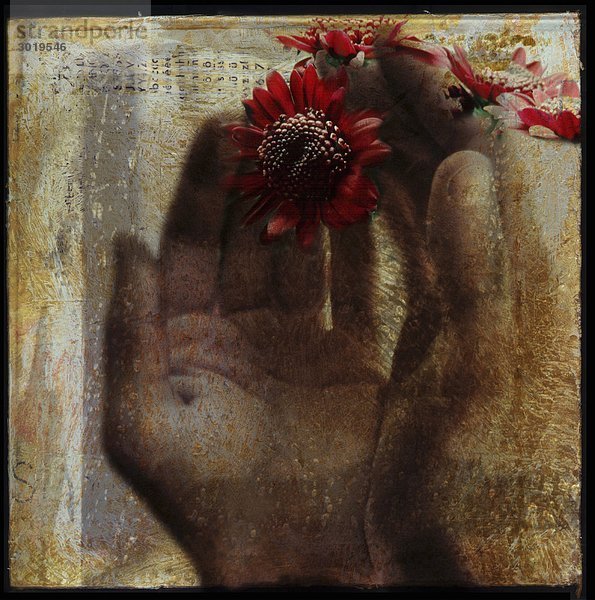 Hand mit roten Blumen