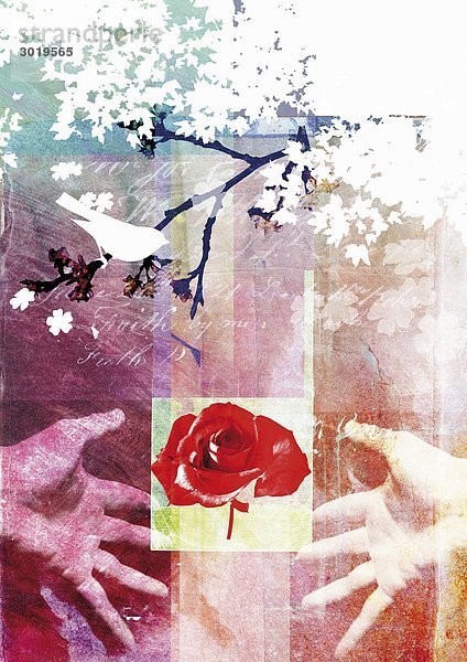 Collage mit Rose  Vogel  Händen und Baum
