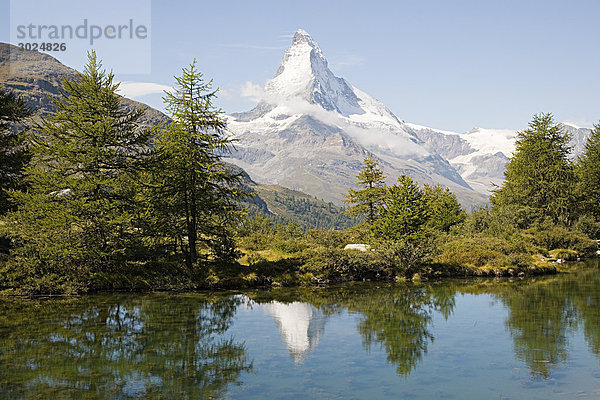 Matterhorn und Bäume spiegeln sich in einem See.