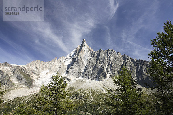 Bäume und Berge bei Montenvers