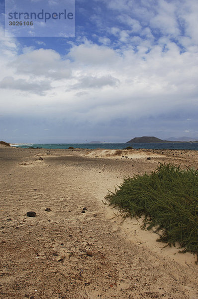 Spanien  Fuerteventura  Strand  Isla de Lobos im Hintergrund