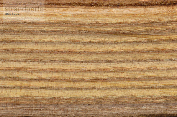 Holzoberfläche  Staghorn sumac Holz (Rhus typhina) Oberfläche  Vollrahmen