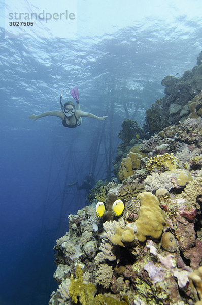 Ägypten  Rotes Meer  Frau beim Schnorcheln am Korallenriff