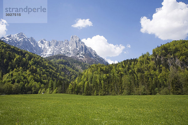 Österreich  Tirol  Blick auf Wiese und Berge  Wilder Kaiser  Kaisergebirge