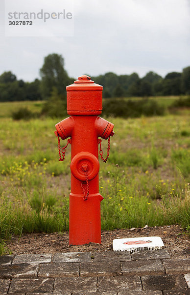 Roter Hydrant in der Landschaft