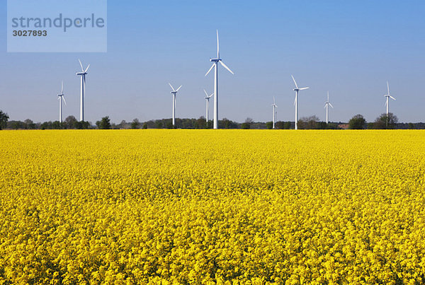 Germany  Lower Saxony  Wind park