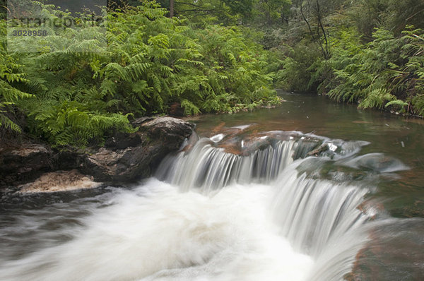 Neuseeland  Rotorua  Kerosene Creek  Wasserfall