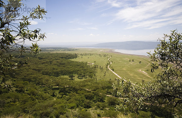 Landschaft mit Blick auf den Nakurusee  Lake Nakuru Nationalpark  Kenia  Erhöhte Ansicht