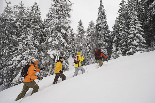 Italien  Südtirol  Menschen in Winterkleidung wandern bergauf