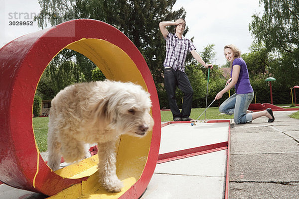 Germany  Bavaria  Ammersee  Young couple playing mini golf  dog in foreground