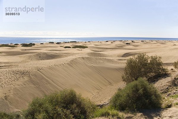 Sanddünen von Maspalomas  Gran Canaria  Kanarische Inseln  Spanien