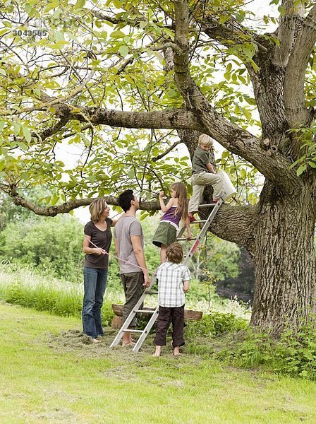 Eltern mit Kids Tree-Climbing
