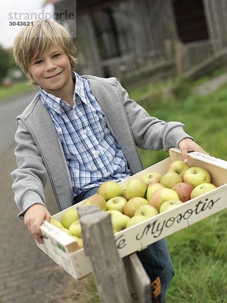 Junge trägt eine Kiste voller reifer Äpfel.