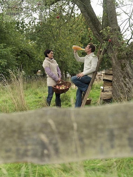 Mann und Frau pflücken Äpfel entspannend
