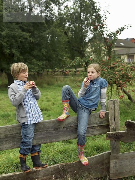Mädchen und Junge essen Äpfel am Zaun