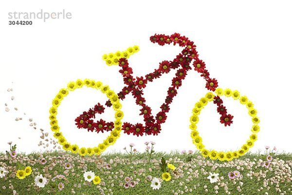 Ein Fahrrad aus Blumen auf Gras.