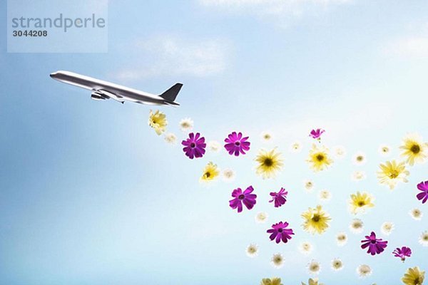 Ein Flugzeug  das Blumen ausstrahlt.