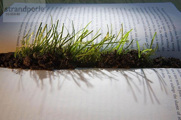 Aus dem Inneren des Buches sprießendes Gras