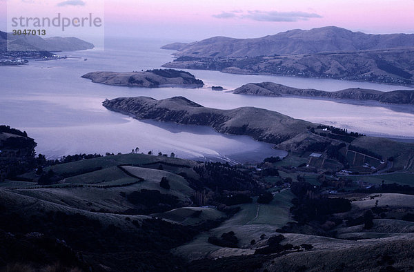 Neuseeland  Südinsel  Banks Peninsula.