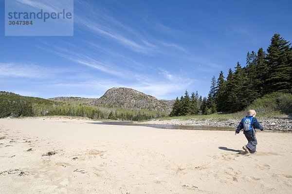 USA  Maine  Acadia-Nationalpark  Sand Strand