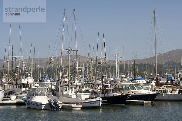 USA  California  Bodega Bay  die marina