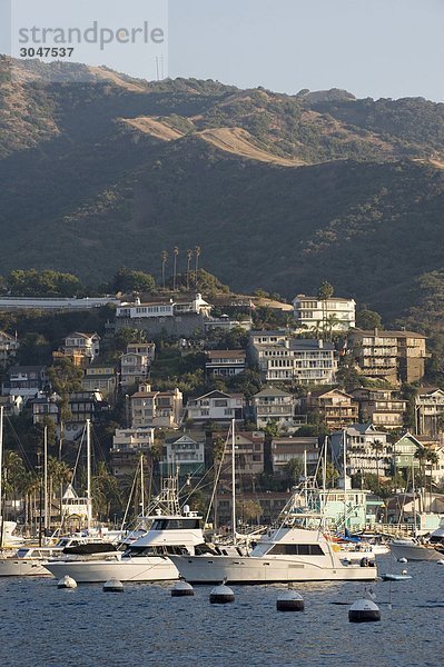 USA  California  Catalina Island  Avalon  Hafen