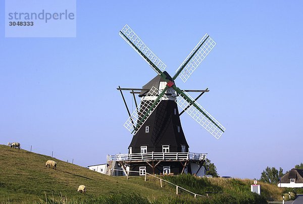 Nordfriesland Insel Pellworm  Windmühle  Schleswig-Holstein  Deutschland