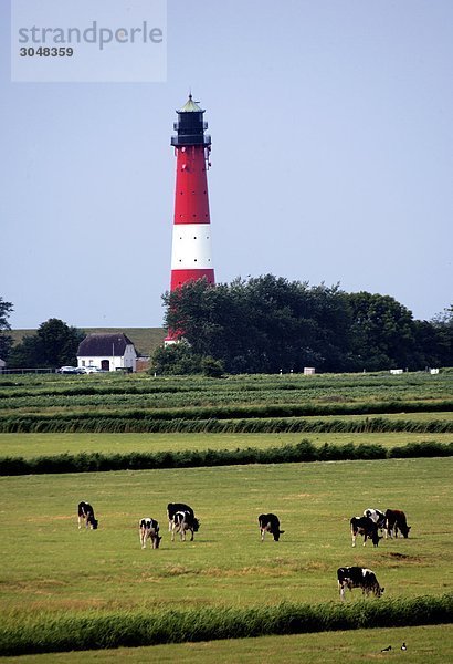 Deutschland  Schleswig-Holstein-Nordfriesland. Leuchtturm von Insel Pellworm