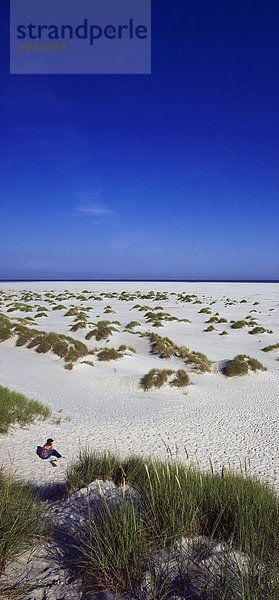 Deutschland  Schleswig-Holstein  Amrum Insel