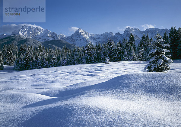 Winterlandschaft  verschneite Bäume  Karwendelgebirge  Bayern
