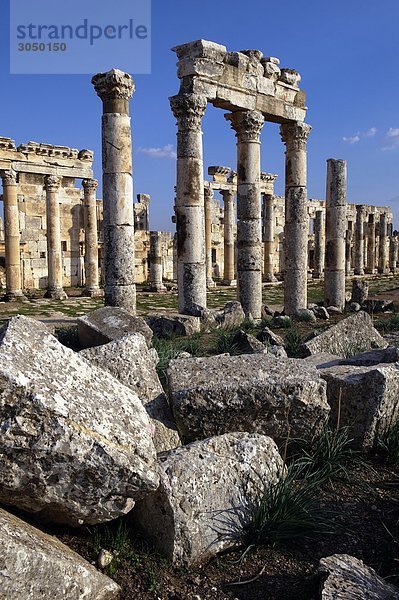 Syrien  Apameia  die Ruinen.