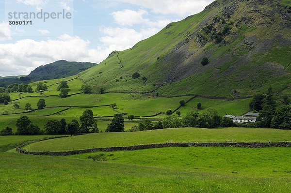 UK  England  Cumbria  Seengebiet Landschaften in Grasmere Bereich