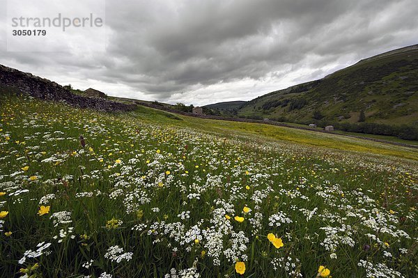 UK  England  Yorkshire  Yorkshire Dales Nationalpark