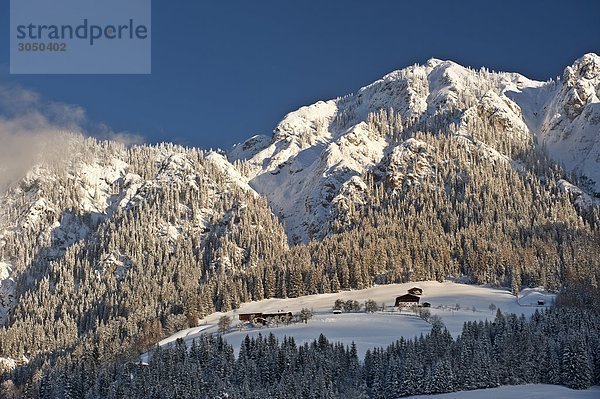 Österreich  Tirol  Alpbachtal