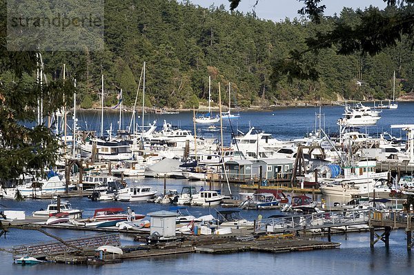 USA  Washington State  San Juan Island: Boote im Hafen von Freitag