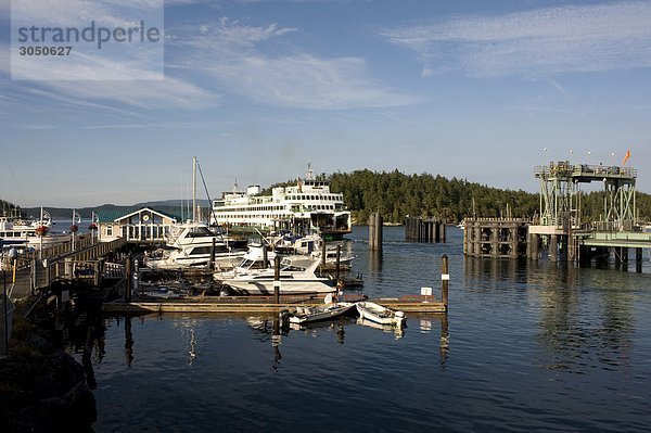 USA  Washington State  San Juan Island: Boote im Hafen von Freitag