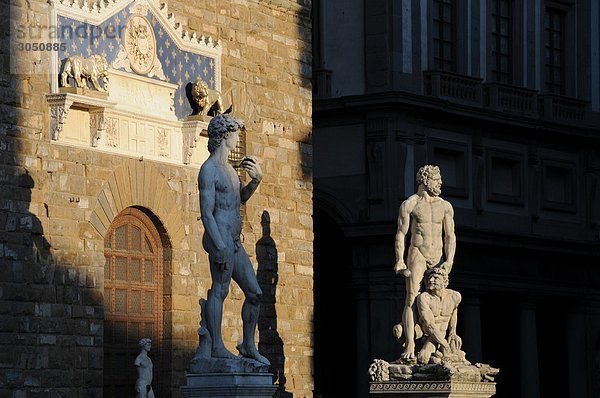 Italien  Toskana  Florenz  Signoria Square  David  Michelangelo Buonarroti Künstler  Herkules und Cacus  Baccio Bandinelli Künstler.