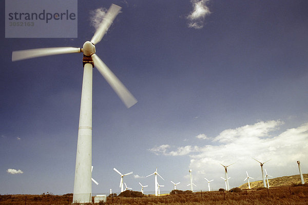 Vereinigte Staaten von Amerika USA Hawaii Big Island Windturbine Windrad Windräder Generation Windmühle Hawaii Stärke