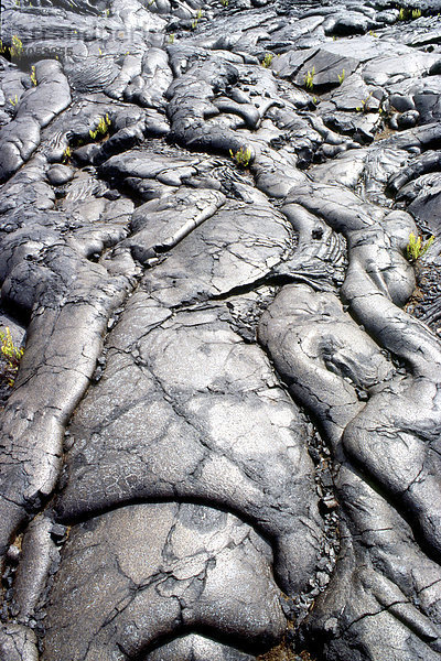 USA  Hawaii  Insel Hawaii (große Insel)  Volcanoes Nationalpark  Lava.