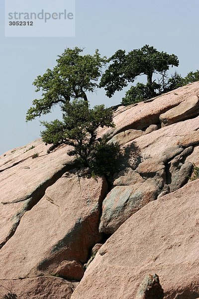 USA  Texas  verzauberte Rock State Natural Area