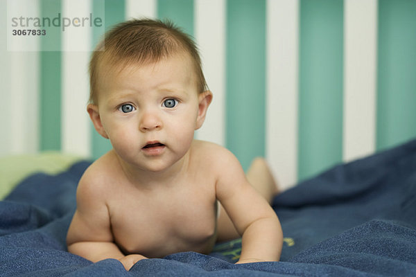 Baby Stirnfalte  Blick in die Kamera  Porträt