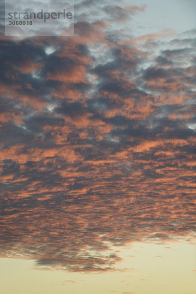 Altocumuluswolken bei Sonnenuntergang
