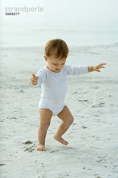 Kleinkind geht am Strand spazieren  Arme ausstrecken  nach unten schauen