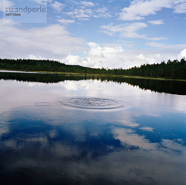Eine kleine Woodland bloße Dalarna Schweden.